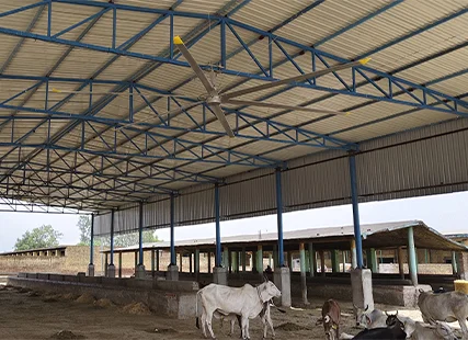 KRISSVENT HVLS Installed at Gaushala