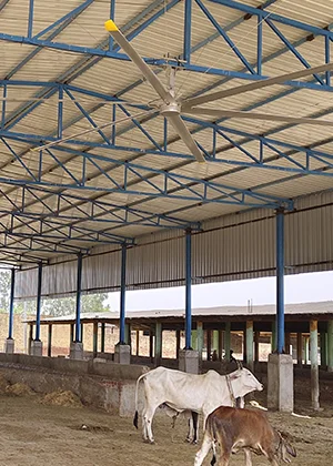 HVLS Fan