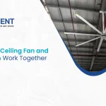 How Industrial Ceiling Fan and Air Purification Work Together