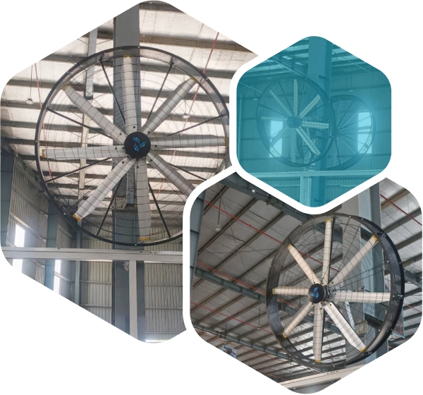 Industrial Wall Mounted Fan
